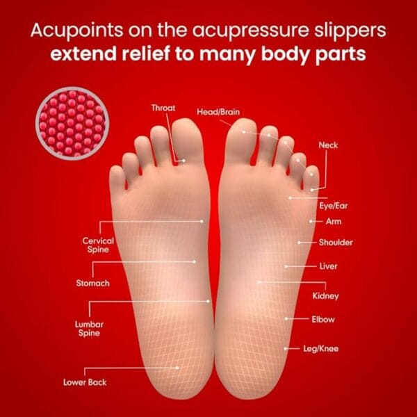 Dr.Ortho Orthopedic Slippers |Flip-Flops |  Men & Women - Image 6
